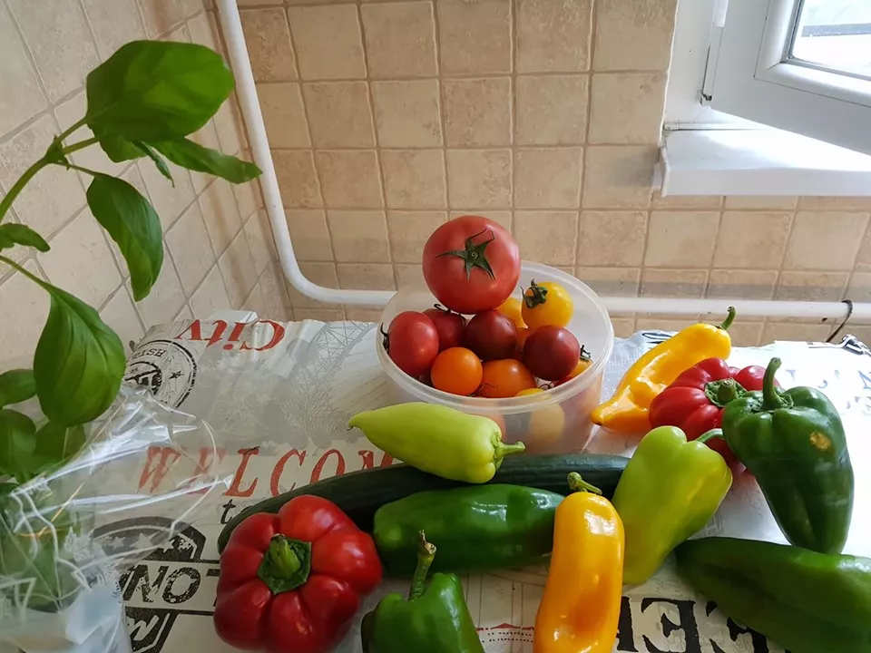 Én elmentem a vásárba